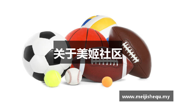 关于美姬社区